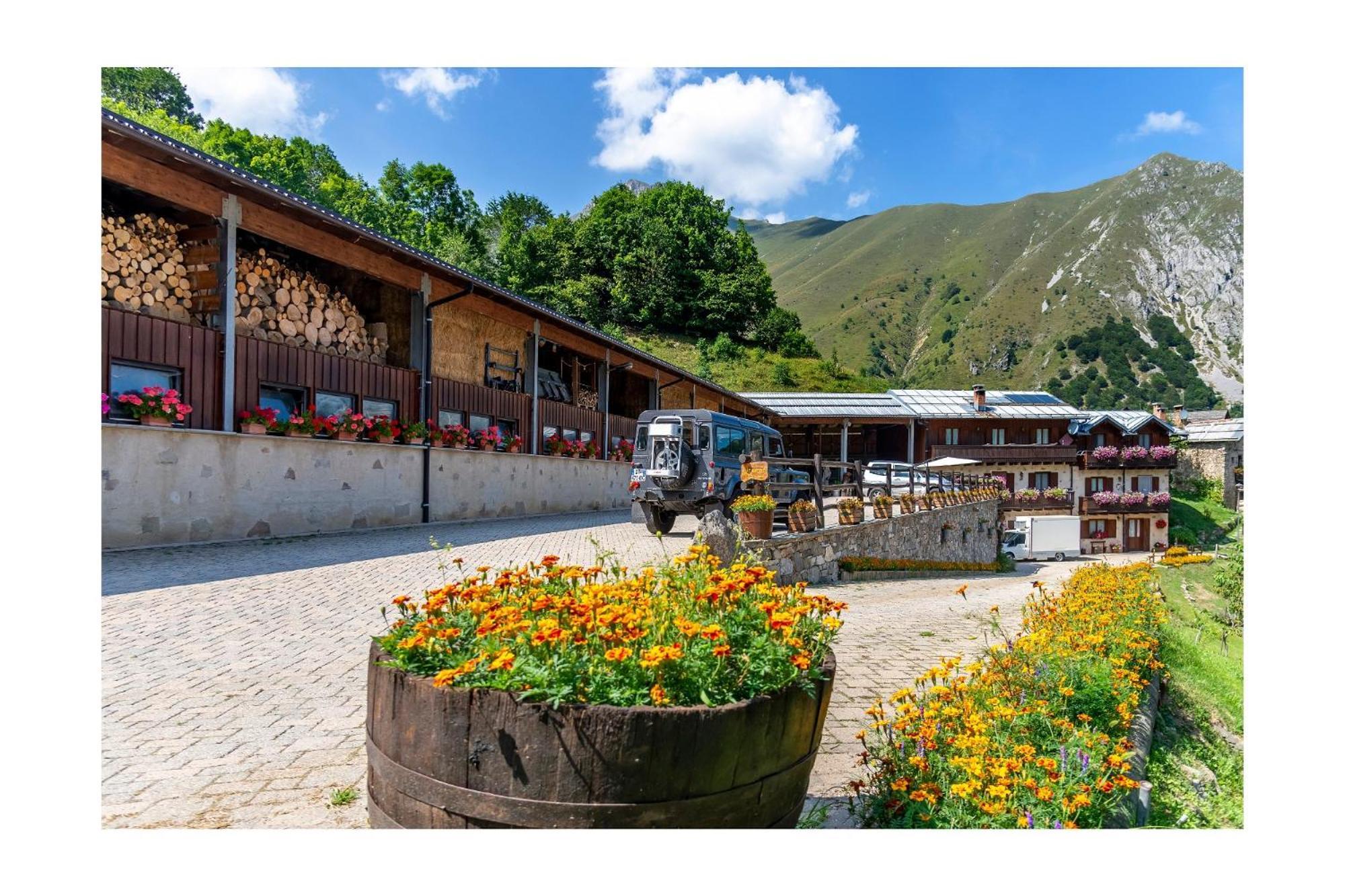 Chalet Bragard Limone Piemonte Eksteriør bilde